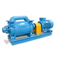 Vakuumpumpe hin- und herbewegend